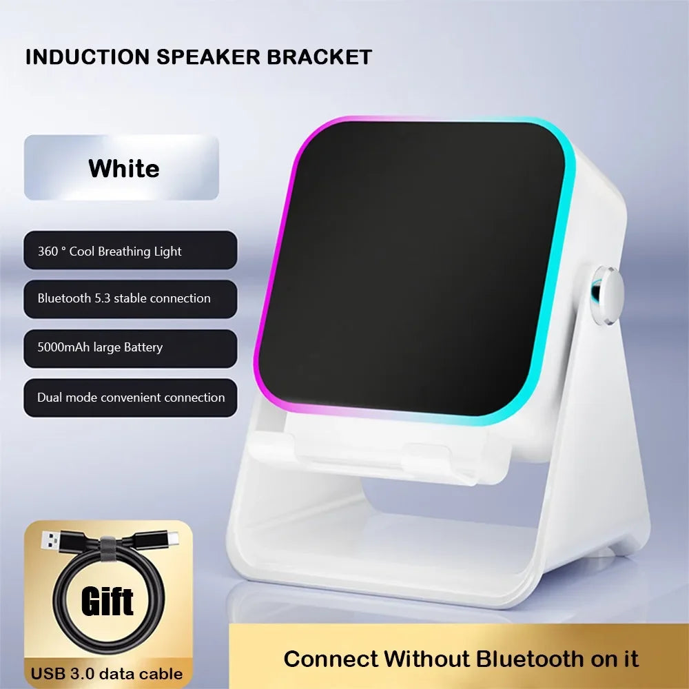 Universal Wireless Induction Sound Stand