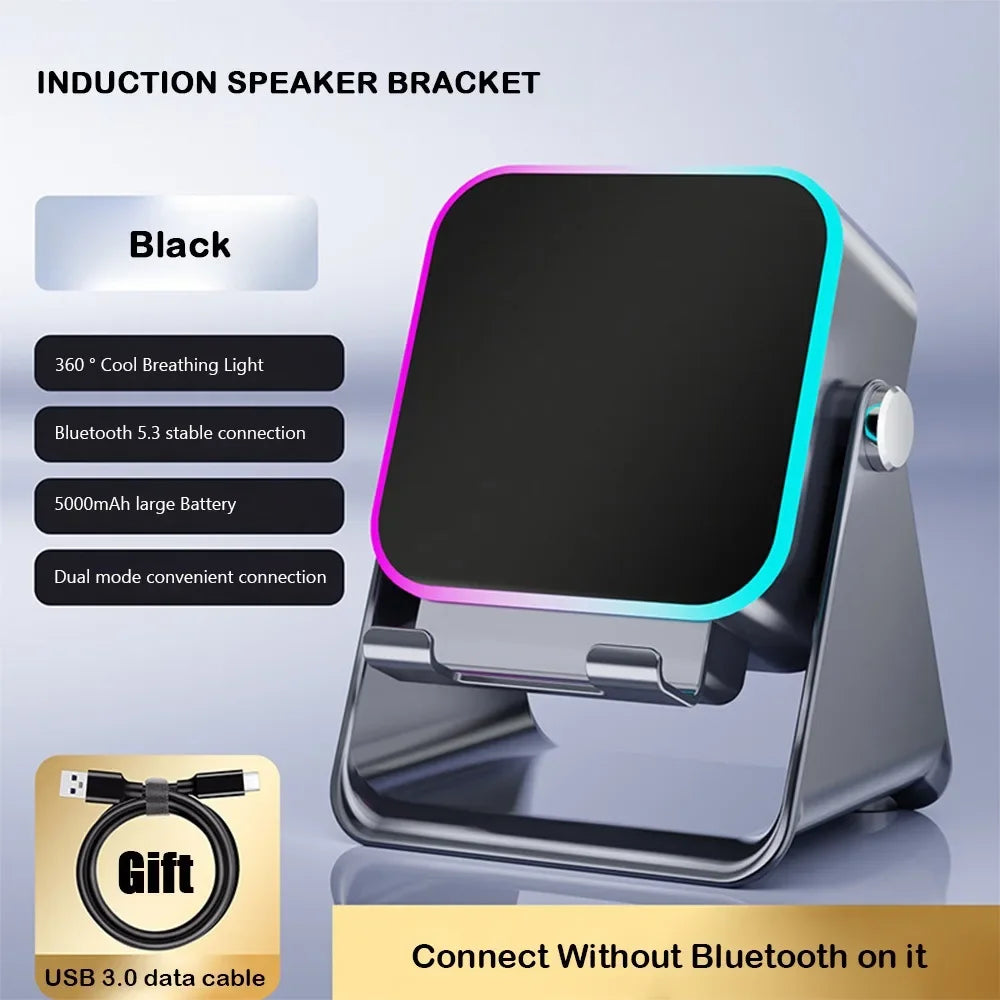 Universal Wireless Induction Sound Stand